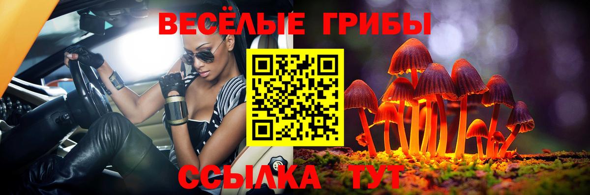 Псилоцибиновые грибы MAGIC MUSHROOMS Звенигород