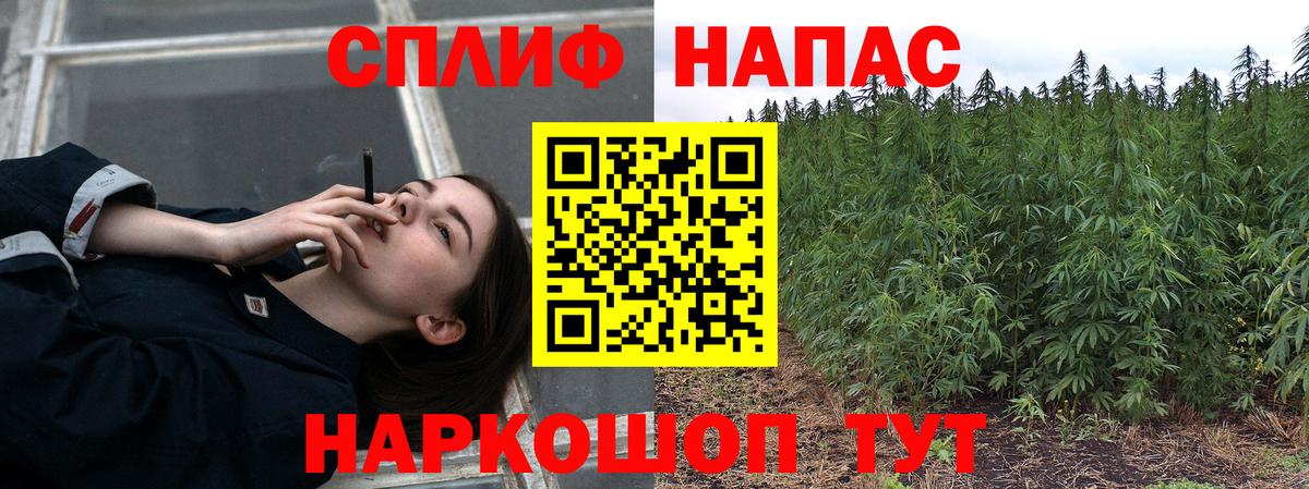 Бошки марихуана план Звенигород